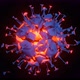 Coronavirus cell explosion. Hot lava planet abstraction. Teal orange gamma. - VideoHive Item for Sale