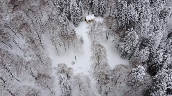 Aerial Forest view - Winter Landscape Aerial