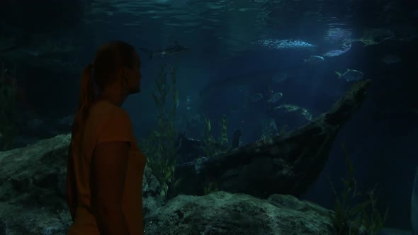 Woman looking at fish in oceanarium