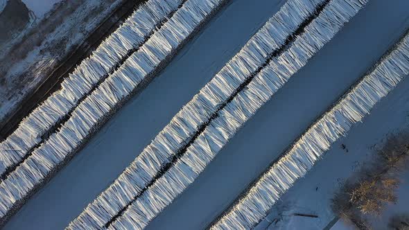 Long Stacks of Logs Lying on the Snow