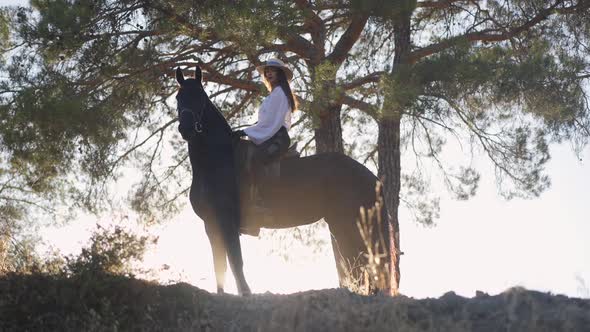 Confident Gorgeous Woman and Horse Posing in Sunset Sunshine on Hill at Tree