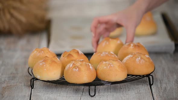 Delicious Freshly Baked Yeast Buns with Crust on Cooling Rack