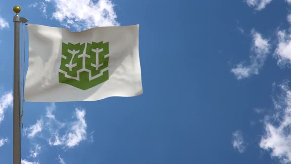 Matsuyama City Flag Japan On Flagpole