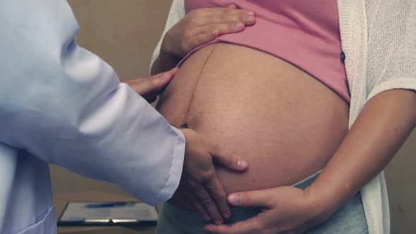 Pregnant Woman and Gynecologist Doctor at Hospital