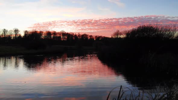 Aerial view of ducks swimming in a lake in a beautiful sunset