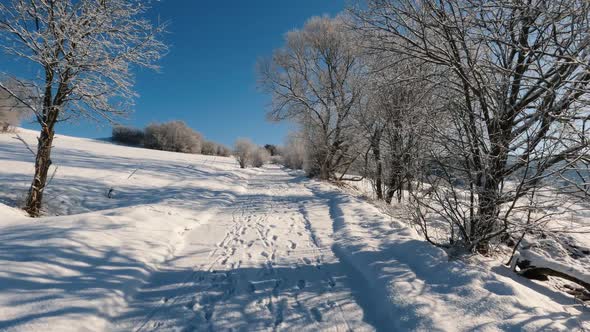 Beautiful Morning Walk in Sunny Winter Countryside Snowy Road Rrozen Nature Background