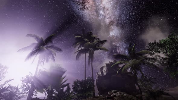 Milky Way Galaxy Over Tropical Rainforest.