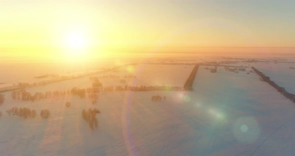 Aerial Drone View of Cold Winter Landscape with Arctic Field Trees Covered with Frost Snow and