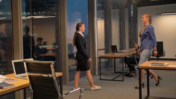 Two Attractive Sexy Businesswomen Shaking Hands In Modern Office