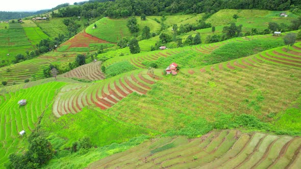 Aerial view of drones flying over rice terraces