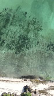 Vertical Video of the Ocean Near the Coast of Zanzibar Tanzania