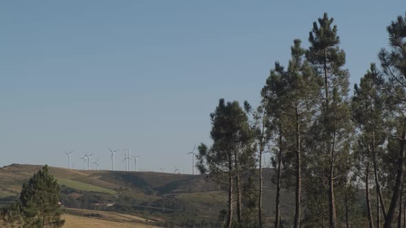 Beautiful landscape shot of wind turbines surrounded by trees in nature, Spain