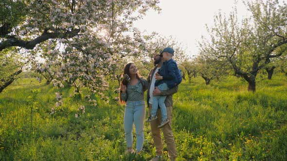 Successful Male Farmer with Children in Blooming Apple Orchard