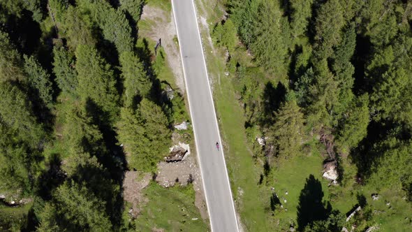 Deserted Road in the Middle of Forest Trees and Man on Bicycle Passing Through
