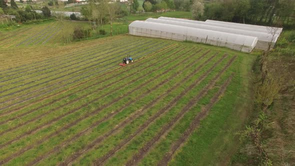 Farmer Working in Agricultural Field