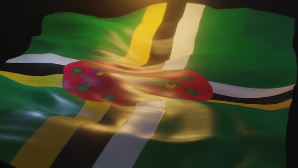 Dominica Flag Low Angle View