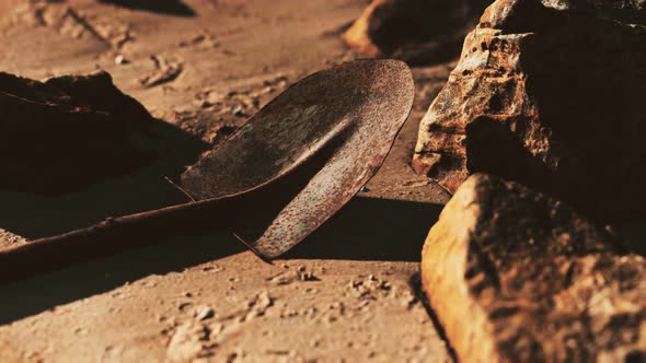 Old Rusty Shovel on Wet Sand at the Beach