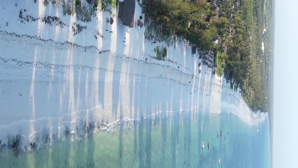 Vertical Video of the Ocean Near the Coast of Zanzibar Tanzania Aerial View