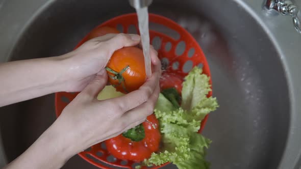 Women wash the vegetables.