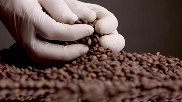 Hands Taking Coffee Beans in Gloves Close Up