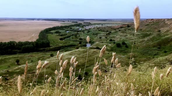 View of the River and Wild Flowers and Herbs in the Autumn Steppe