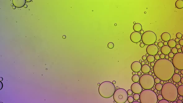 Abstract Colorful Food Oil Drops Bubbles 117