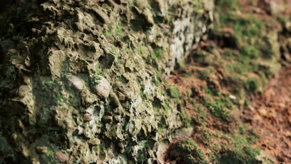 Close Up of Rocky Stones Formation