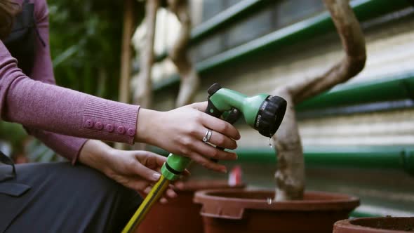 Closeup View of Young Attractive Female Gardener in Uniform Watering Trees with Garden Hose in