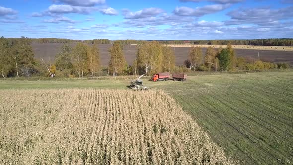 Aerial Corn Harvester and Truck Turn Back Working on Field