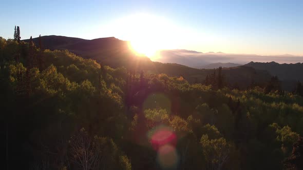 Aerial view over forest as the sun is setting