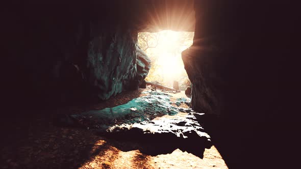 Sunlight Filters Into a Wet Stone Cave