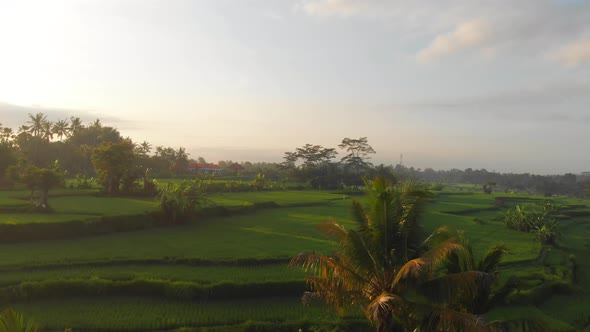 Aerial View revealing beautiful scenery Over Green Fields