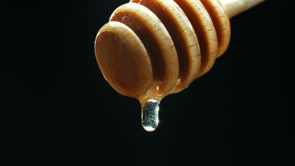 Close Up Fresh Thick Fluid Acacia Honey Pouring and Flowing From Wooden Dipper Spoon Over Black