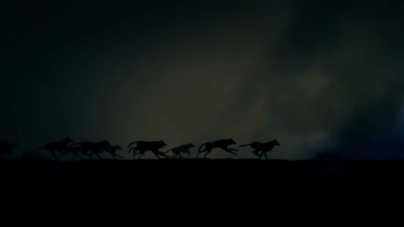 Pack Of Wolves Running Through A Lightning Storm