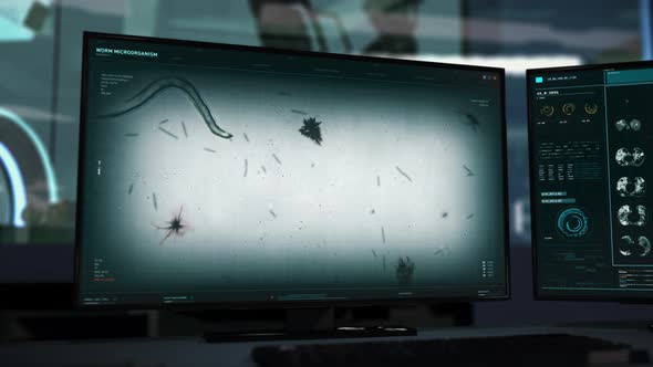 Microscopic study of the worm parasite cell movement for scientific research alt