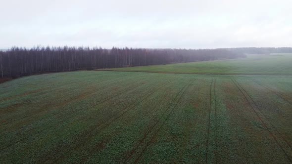 Aerial view on a foggy autumn morning