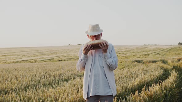 Senior Man Holds and Sniffs a Loaf of Bread in Summer Wheat Field