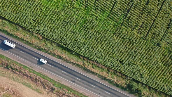 Aerial View of Cars Driving Along the Ural Highway Along a Sunflower Field on a Summer Day