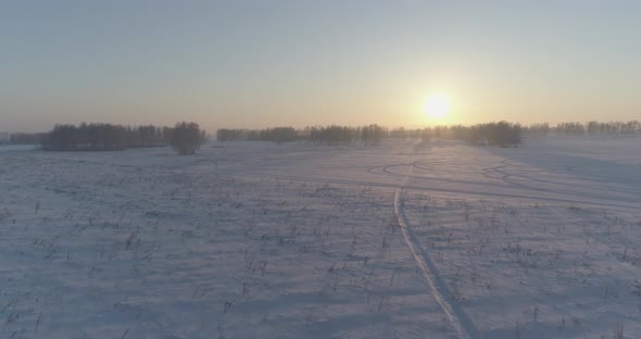 Aerial Drone View of Cold Winter Landscape with Arctic Field Trees Covered with Frost Snow and