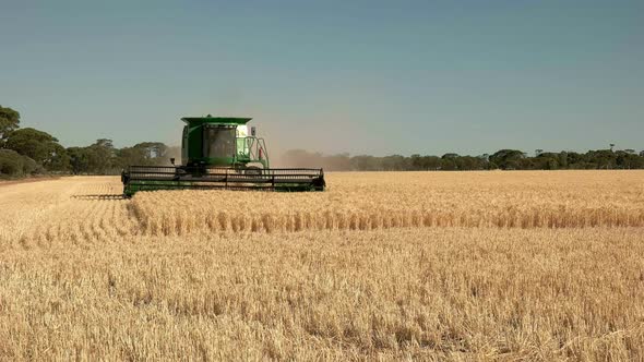 a combine harvester approaches the camera