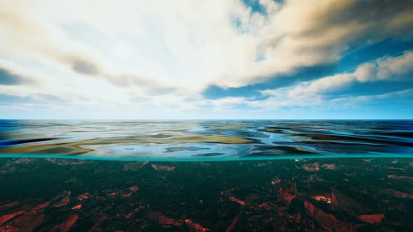 Underwater View with Horizon and Water Surface Split By Waterline
