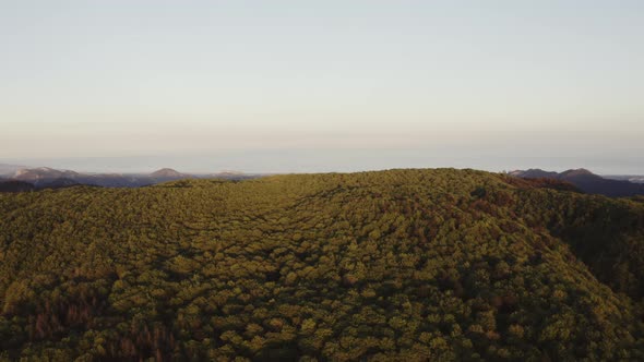 Aspromonte mountain Park in Calabria