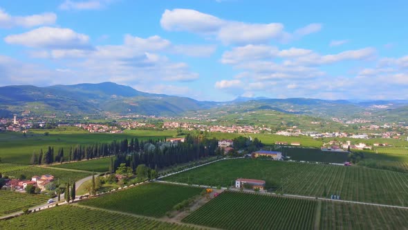 Flight Over The Vineyard