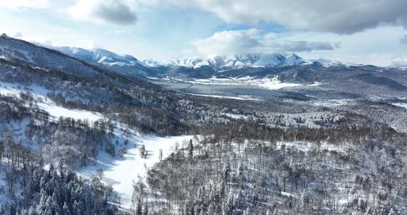 Aerial view of frozen forest with snow covered trees at winter. Flight above mountains in Bakuriani