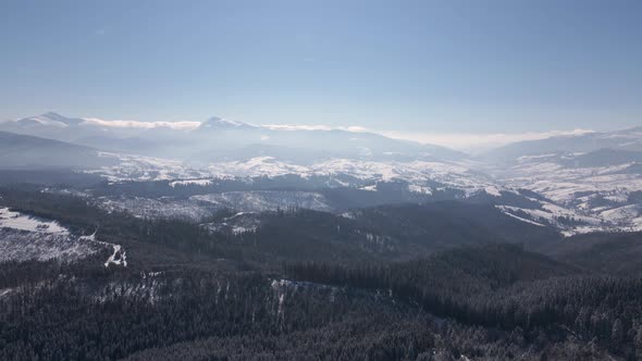 Scenic Landscape of Winter Carpathians Forest and Mountain Valleys Aerial Drone View  Video