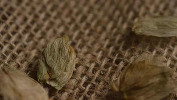 Rotating shot of barley and other beer brewing ingredients