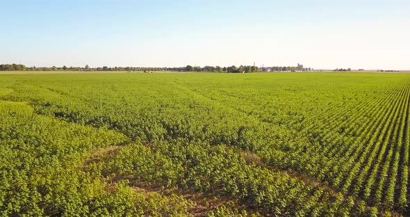 Aerial View Of Bright Green Agricultural Farm Field During Daytime - drone forward