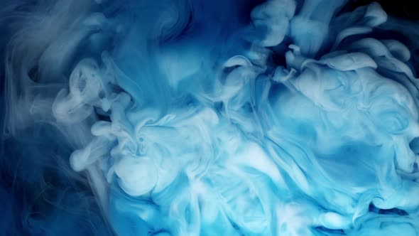 Blue and White Cloud Ink in Water on White Background, Slow Motion