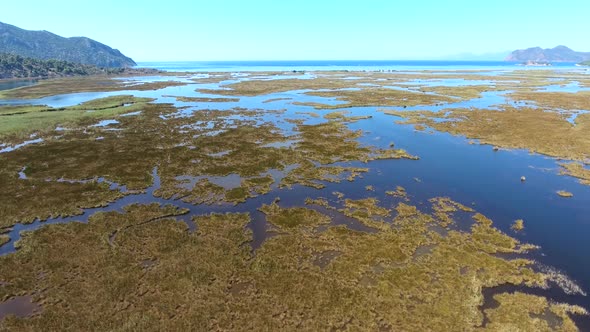 Aerial Swamp Wetland and Lake Next to Reed Delta by Sea