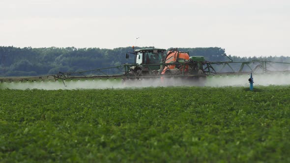 Tractor Is Spraying Fertilizers Field.